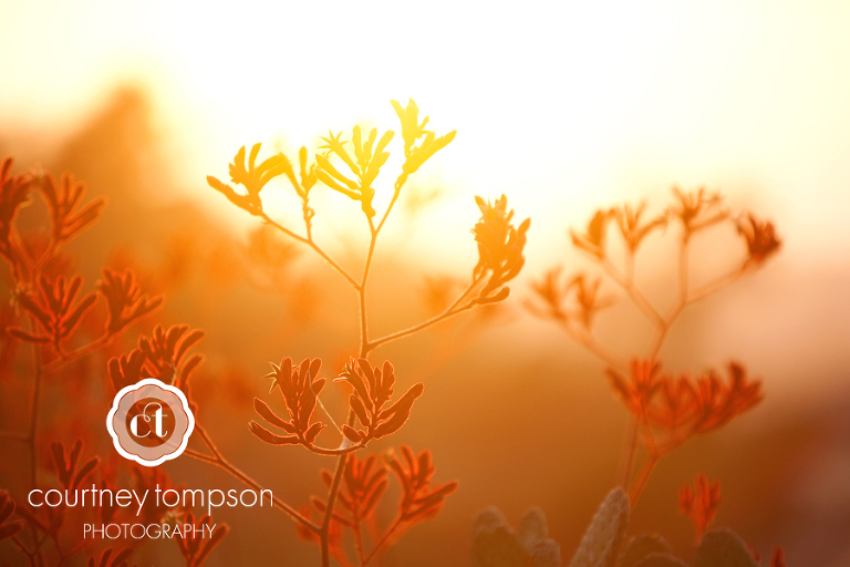 San Diego California