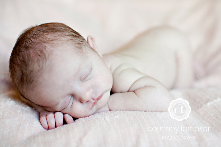 Newborn Photography by Courtney Tompson Photography