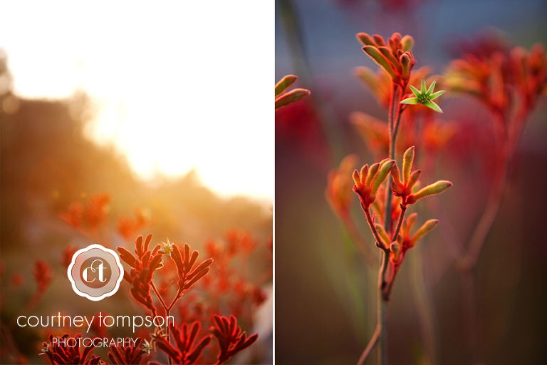 San Diego California