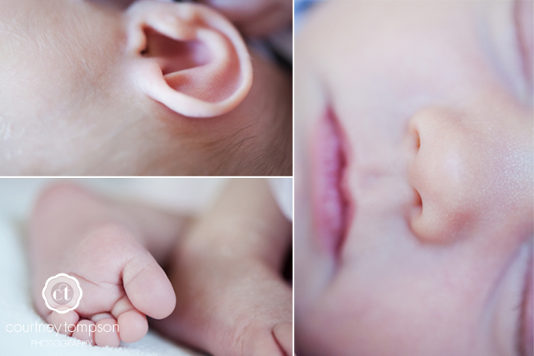 Newborn Photography by Courtney Tompson Photography