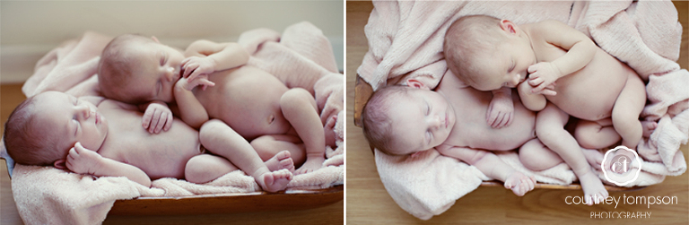 Newborn Photography by Courtney Tompson Photography