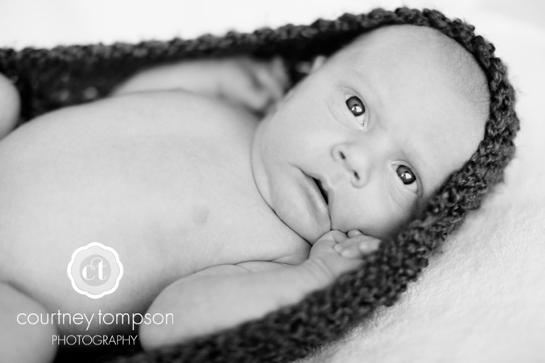 courtney tompson photography