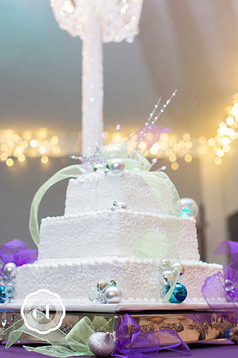 Mallory-Phillip-wedding-by-courtney-tompson-photography-paris-mo-by-columbia-mo-wedding-photographer