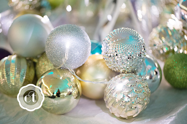 Mallory-Phillip-wedding-by-courtney-tompson-photography-paris-mo-by-columbia-mo-wedding-photographer