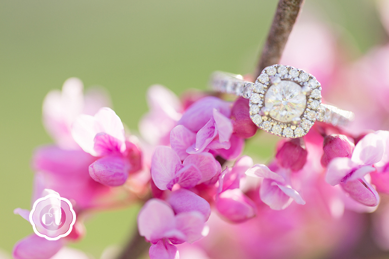 Jen-bryce-engagement-photography-columbia-mo-wedding-photographer-courtney-tompson-www.courtneytompson.com-couples-in-love-spring-photo-shoot