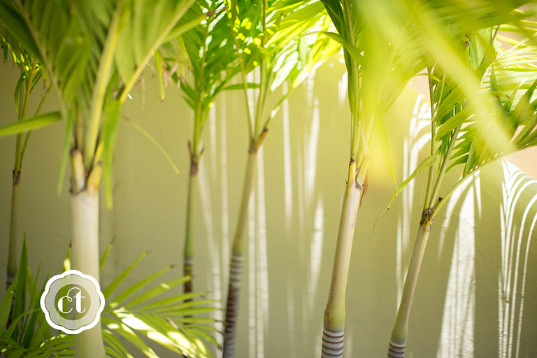 antigua-destination-wedding-by-courtney-tompson-photography