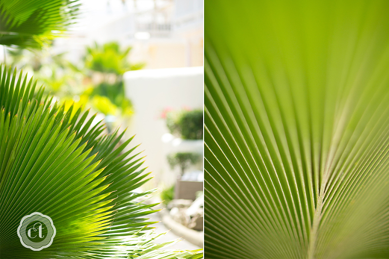 antigua-destination-wedding-by-courtney-tompson-photography