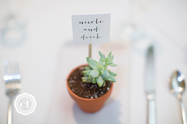 Nicole-and-Derek-St. Louis-MO-Wedding-Photography-by-Courtney-Tompson-Photography-9th-Street-Abbey