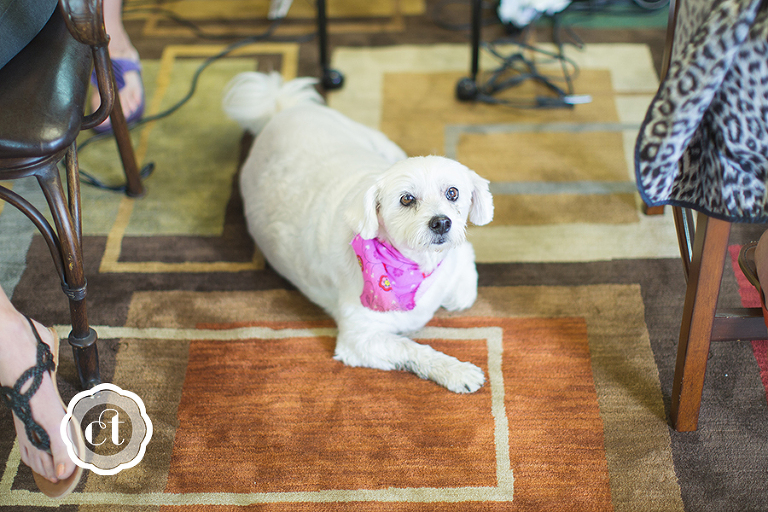 Abby-and-Ryan-Columbia-MO-Wedding-at-Cedar-Creek-MU-Campus-by-Courtney-Tompson-Photography-Best-of-Columbia-MO-Wedding-Photography