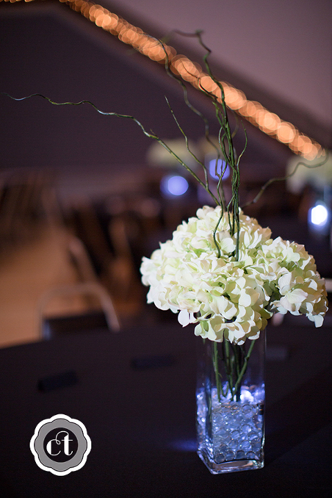 Brittany-and-Brett-Moberly-MO-Wedding-by-Courtney-Tompson-Photography