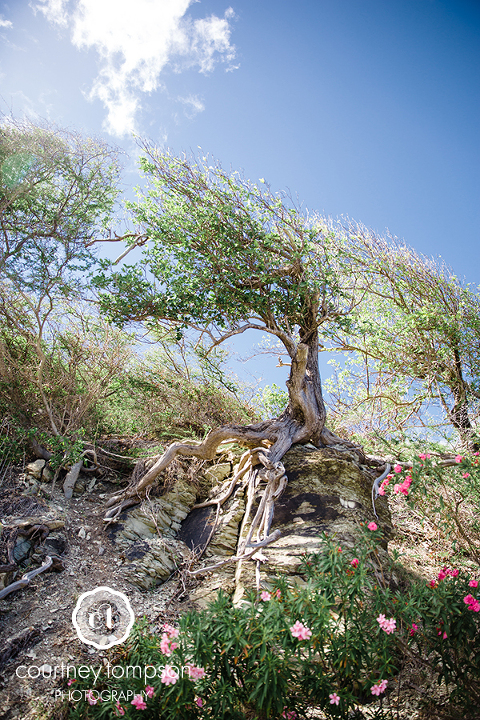 ANTIGUA-Travel-photography-by-courtney-tompson