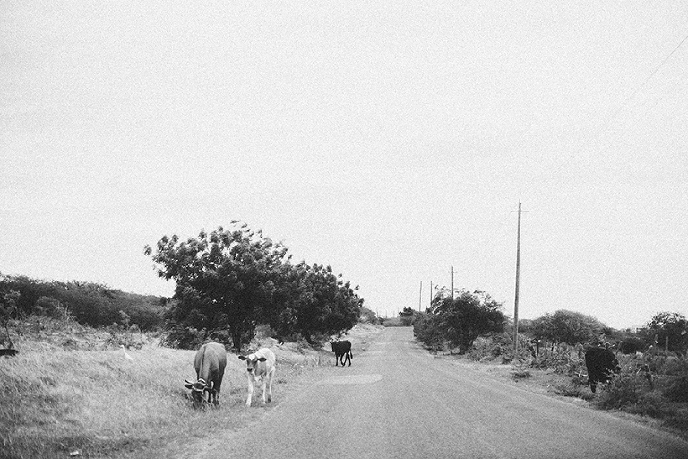 ANTIGUA-TRAVEL-PHOTOGRAPHY-BY-COURTNEY-TOMPSON