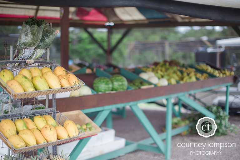 ANTIGUA-TRAVEL-PHOTOGRAPHY-BY-COURTNEY-TOMPSON