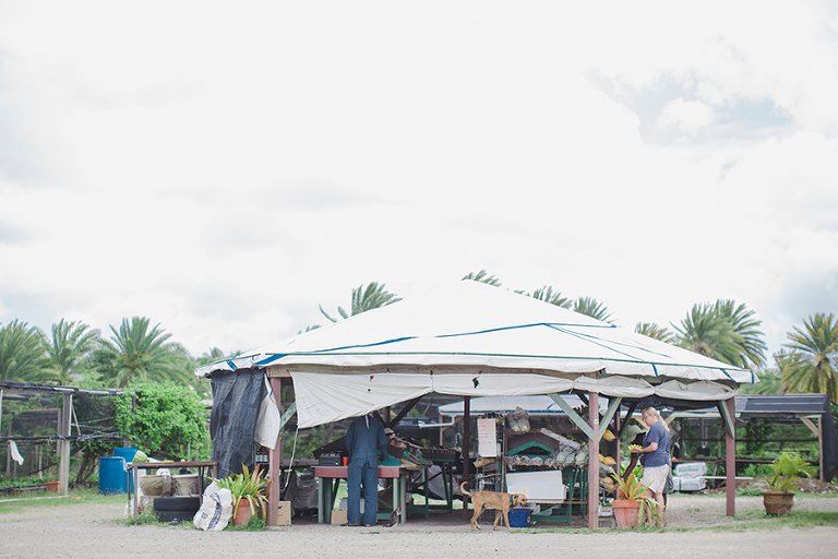 ANTIGUA-TRAVEL-PHOTOGRAPHY-BY-COURTNEY-TOMPSON