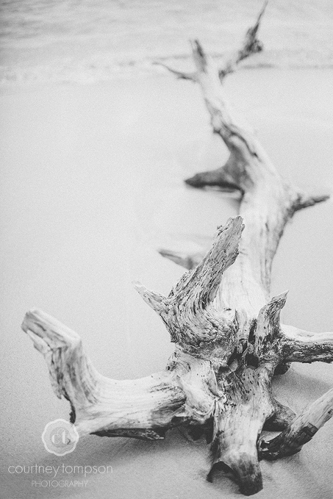 ANTIGUA-TRAVEL-PHOTOGRAPHY-BY-COURTNEY-TOMPSON