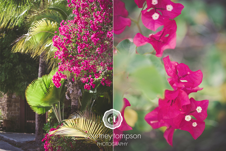 ANTIGUA-TRAVEL-PHOTOGRAPHY-BY-COURTNEY-TOMPSON