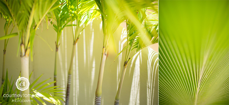 ANTIGUA-Travel-photography-by-courtney-tompson