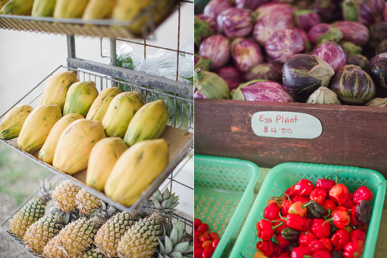 ANTIGUA-TRAVEL-PHOTOGRAPHY-BY-COURTNEY-TOMPSON