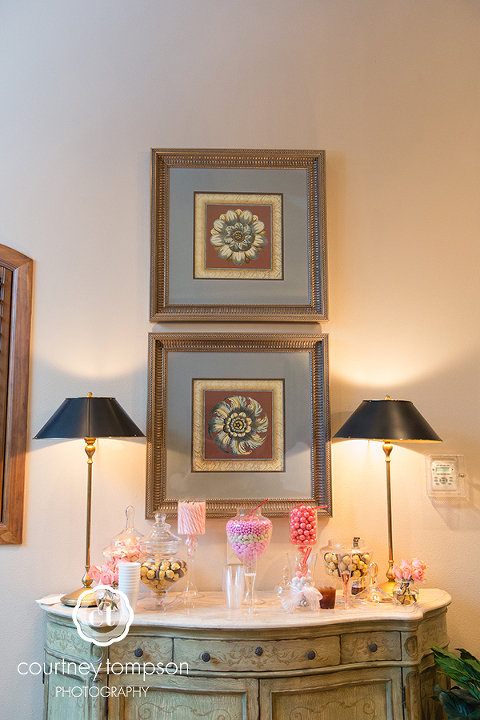 Beth-and-Eric-Olathe-and-Lenexa-Kansas-Wedding-Photography-by-Courtney-Tompson-Photography