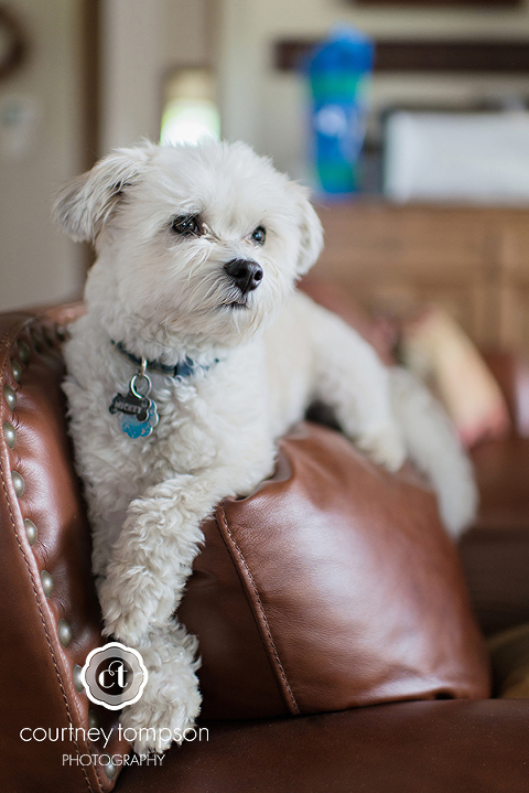 mid-missouri-wedding-photography-by-Courtney-Tompson-photography