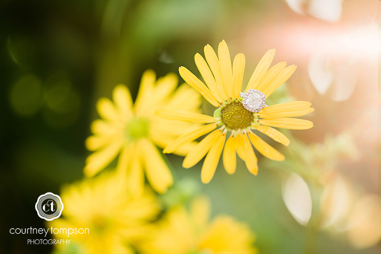 Columbia-MO-engagement-session-by-courtney-tompson-photography