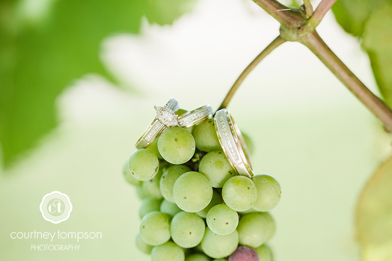 Kelsey-and-Steven-wedding-at-Canterbury-Winery-by-Courtney-Tompson-Photography