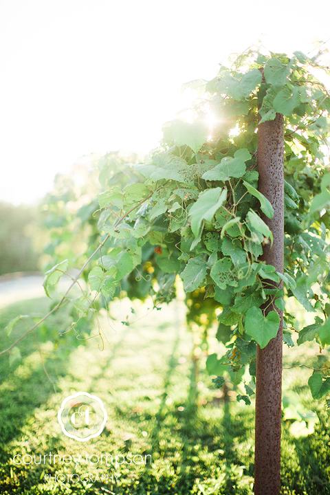 Kelsey-and-Steven-wedding-at-Canterbury-Winery-by-Courtney-Tompson-Photography