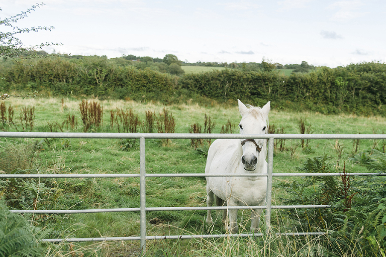Waterford-Kinsale-Dunmore-East-Ireland-Emerald-Isle-courtney-tompson-photography-solo-backpacking-adventure-woman-traveling-europe-travel-photography