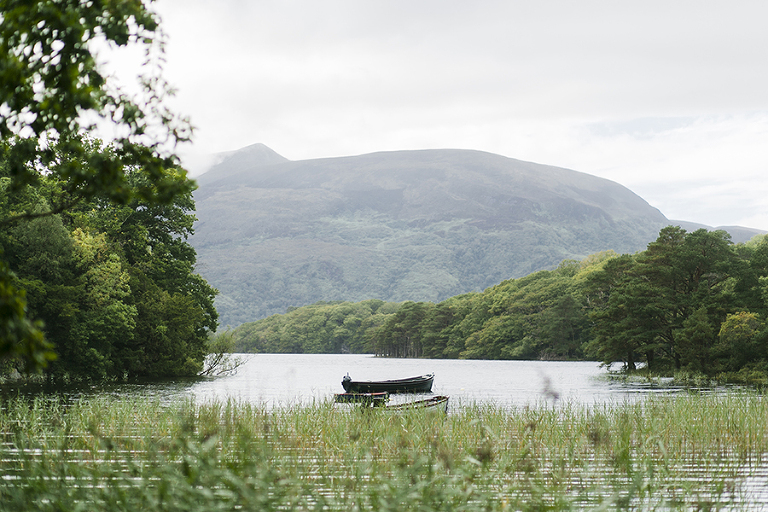 Killarney-national-park-and-the-ring-of-kerry-travel-ladies-view-sheep-hearding-by-courtney-tompson-photography-solo-back-packing-adventure-ireland-emerald-isle-pubs-atlantic-ocean