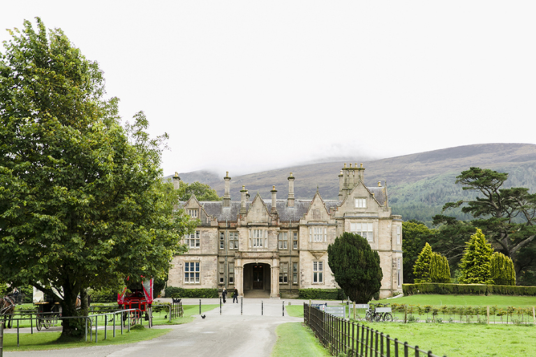 Killarney-national-park-and-the-ring-of-kerry-travel-ladies-view-sheep-hearding-by-courtney-tompson-photography-solo-back-packing-adventure-ireland-emerald-isle-pubs-atlantic-ocean