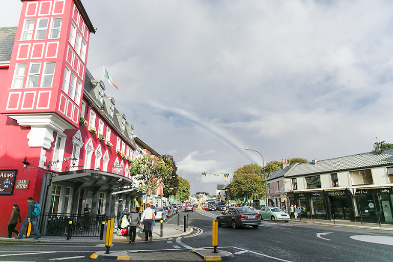 Killarney-national-park-and-the-ring-of-kerry-travel-ladies-view-sheep-hearding-by-courtney-tompson-photography-solo-back-packing-adventure-ireland-emerald-isle-pubs-atlantic-ocean
