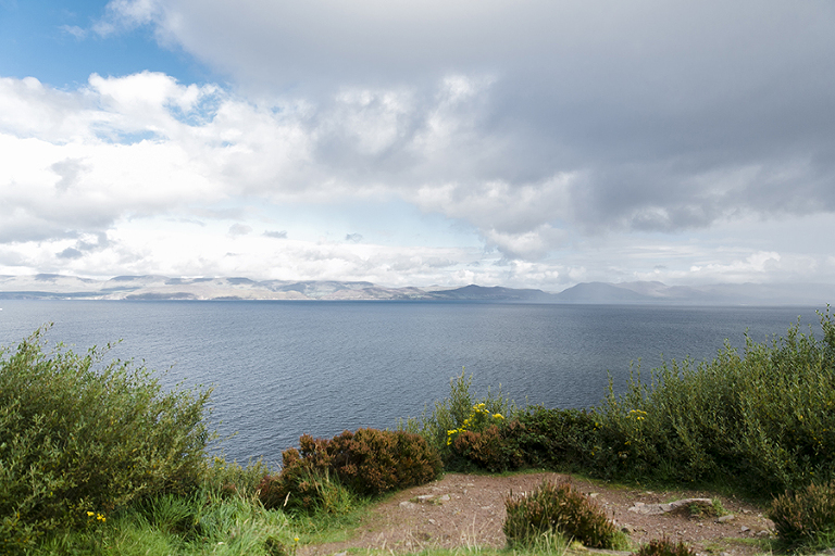 Killarney-national-park-and-the-ring-of-kerry-travel-ladies-view-sheep-hearding-by-courtney-tompson-photography-solo-back-packing-adventure-ireland-emerald-isle-pubs-atlantic-ocean
