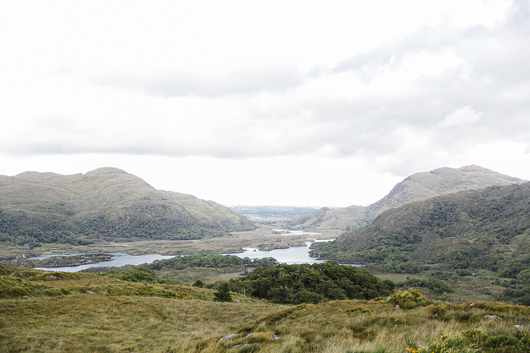 Killarney-national-park-and-the-ring-of-kerry-travel-ladies-view-sheep-hearding-by-courtney-tompson-photography-solo-back-packing-adventure-ireland-emerald-isle-pubs-atlantic-ocean