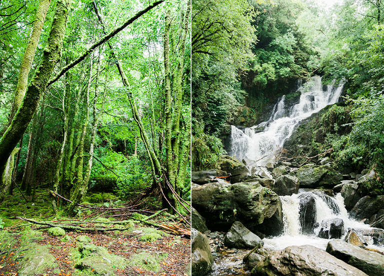 Killarney-national-park-and-the-ring-of-kerry-travel-ladies-view-sheep-hearding-by-courtney-tompson-photography-solo-back-packing-adventure-ireland-emerald-isle-pubs-atlantic-ocean