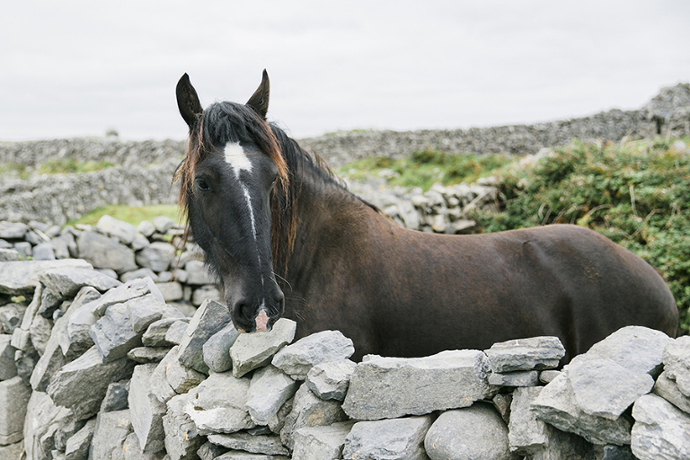 Aran-Islandm-Inisheer-and-cliffs-of-moher-galway-ireland-travel-photography-by-courtney-tompson-solo-backpacking-adventure