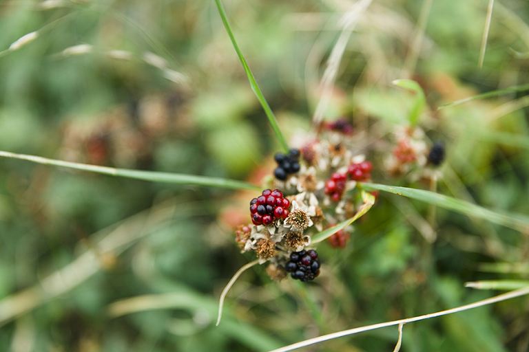 Aran-Islandm-Inisheer-and-cliffs-of-moher-galway-ireland-travel-photography-by-courtney-tompson-solo-backpacking-adventure