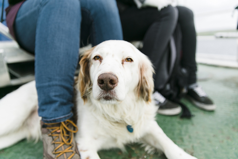 Aran-Islandm-Inisheer-and-cliffs-of-moher-galway-ireland-travel-photography-by-courtney-tompson-solo-backpacking-adventure