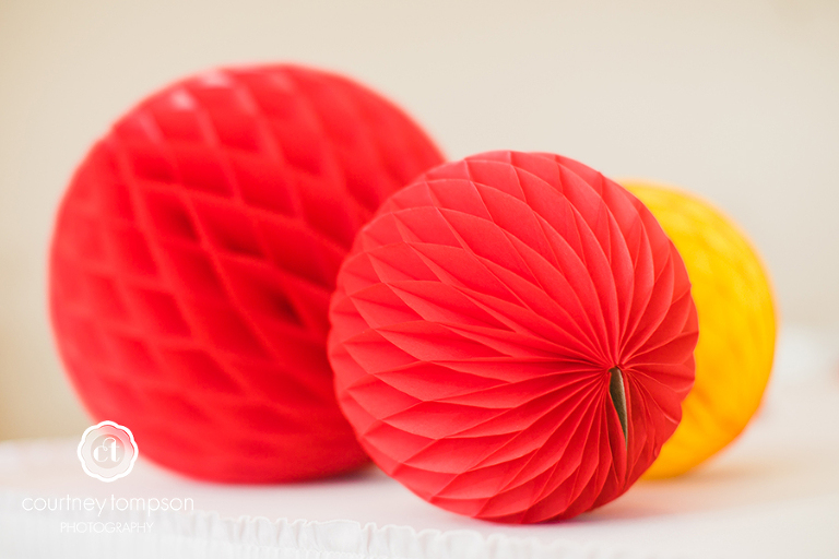 Megg-and-Tom-Holts-Summit-Wedding-at-Canterbury-Winery-by-Courtney-Tompson-Photography