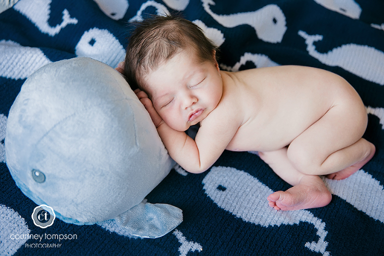 Columbia-newborn-photography-by-Courtney-Tompson-Photography