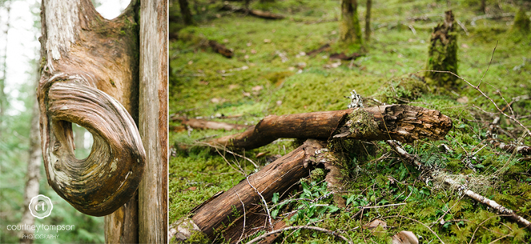 the-adventures-of-Courtney-Marie-Washington-MO-Mt.-Rainier