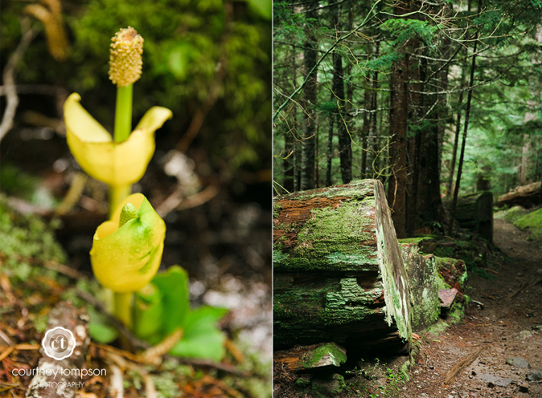 the-adventures-of-Courtney-Marie-Washington-MO-Mt.-Rainier