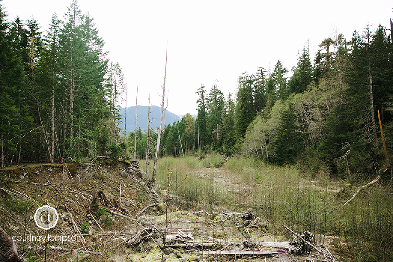 the-adventures-of-Courtney-Marie-Washington-MO-Mt.-Rainier