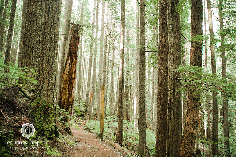 the-adventures-of-Courtney-Marie-Washington-MO-Mt.-Rainier