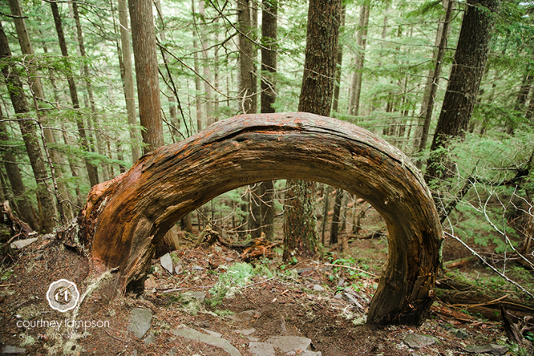 the-adventures-of-Courtney-Marie-Washington-MO-Mt.-Rainier