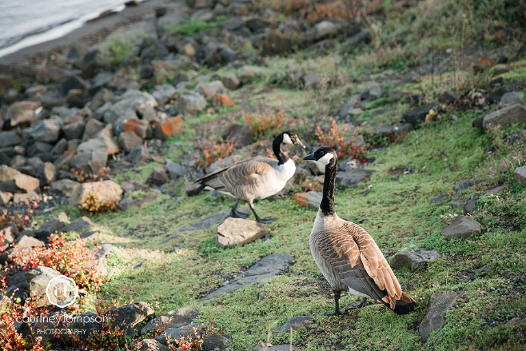the-adventures-of-Courtney-Marie-Portland-and-Cannon-Beach