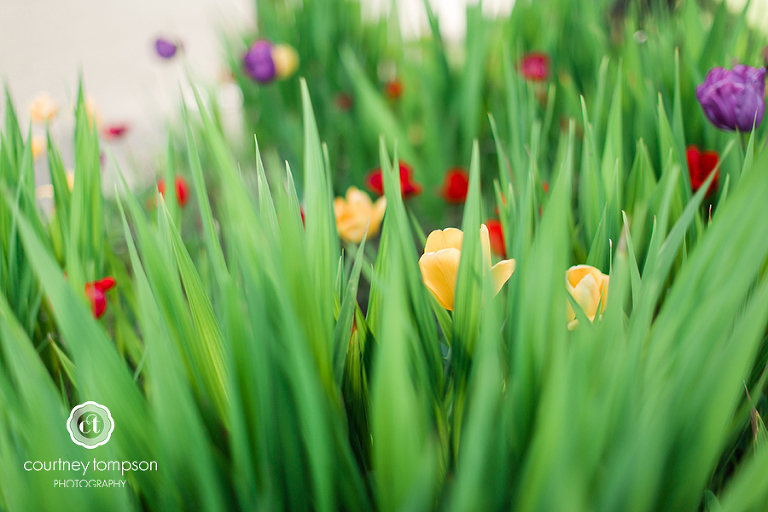 the-adventures-of-Courtney-Marie-Portland-and-Cannon-Beach