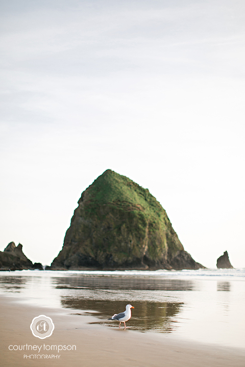 the-adventures-of-Courtney-Marie-Portland-and-Cannon-Beach