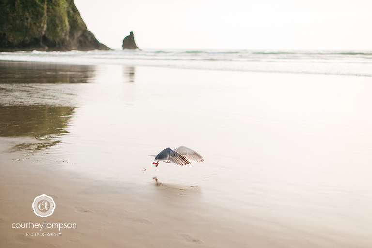 the-adventures-of-Courtney-Marie-Portland-and-Cannon-Beach