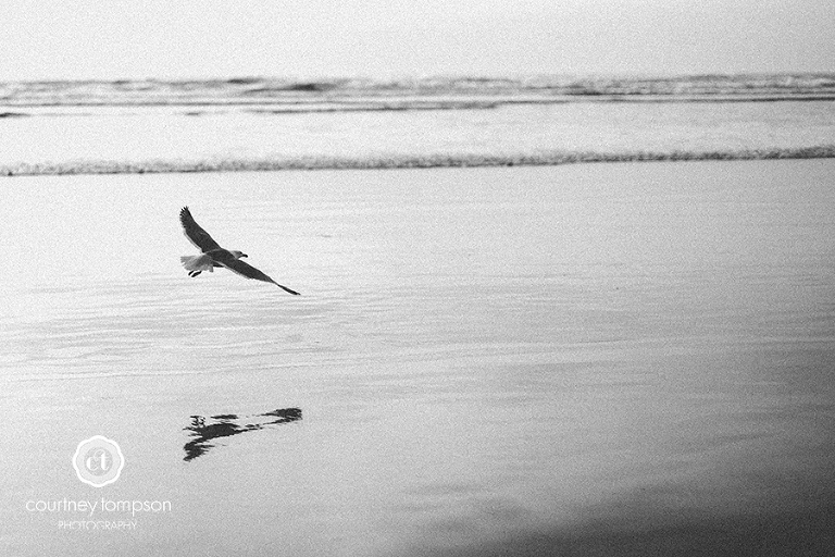 the-adventures-of-Courtney-Marie-Portland-and-Cannon-Beach