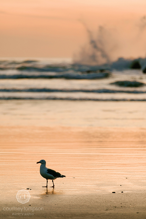 the-adventures-of-Courtney-Marie-Portland-and-Cannon-Beach
